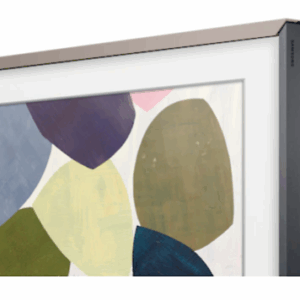 SAMSUNG FRAME VG-SCFR55CB/RU