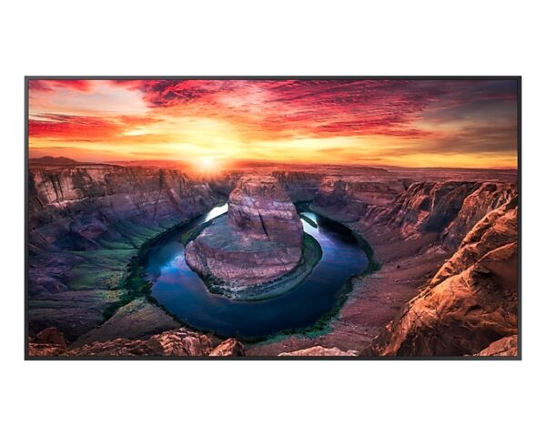55 inch Display