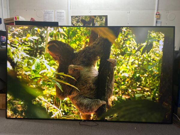 MASSIVE LG 98" UHD Digital Signage Display, 500nit , 24x7 usage - Image 6