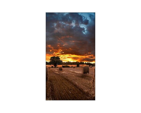 Samsung 55" Video Wall VM55B-U Ultra Narrow Bezel - Image 2