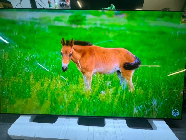 LG C3 77 inch OLED evo TV with Self Lit OLED Pixels - Image 7